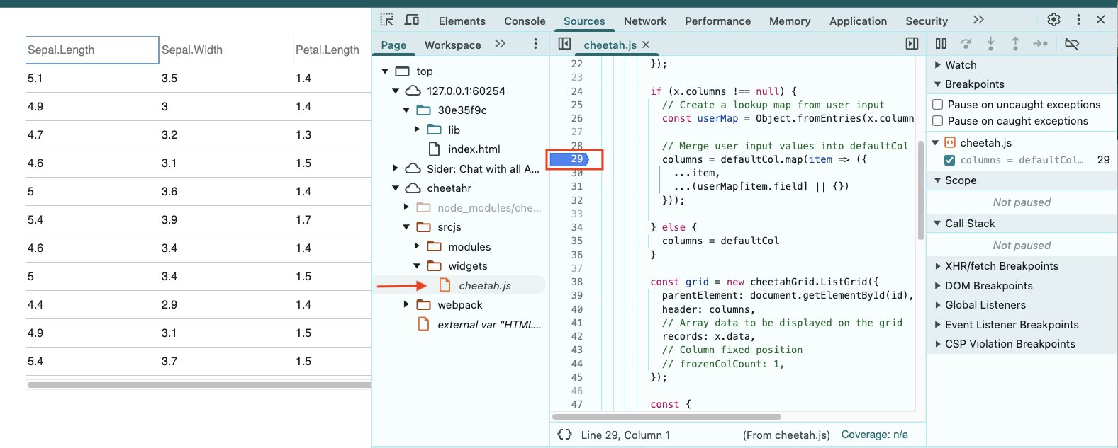 The breakpoint is shown